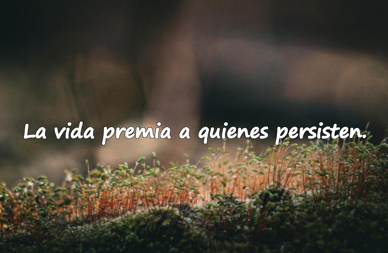 frases para subir el animo