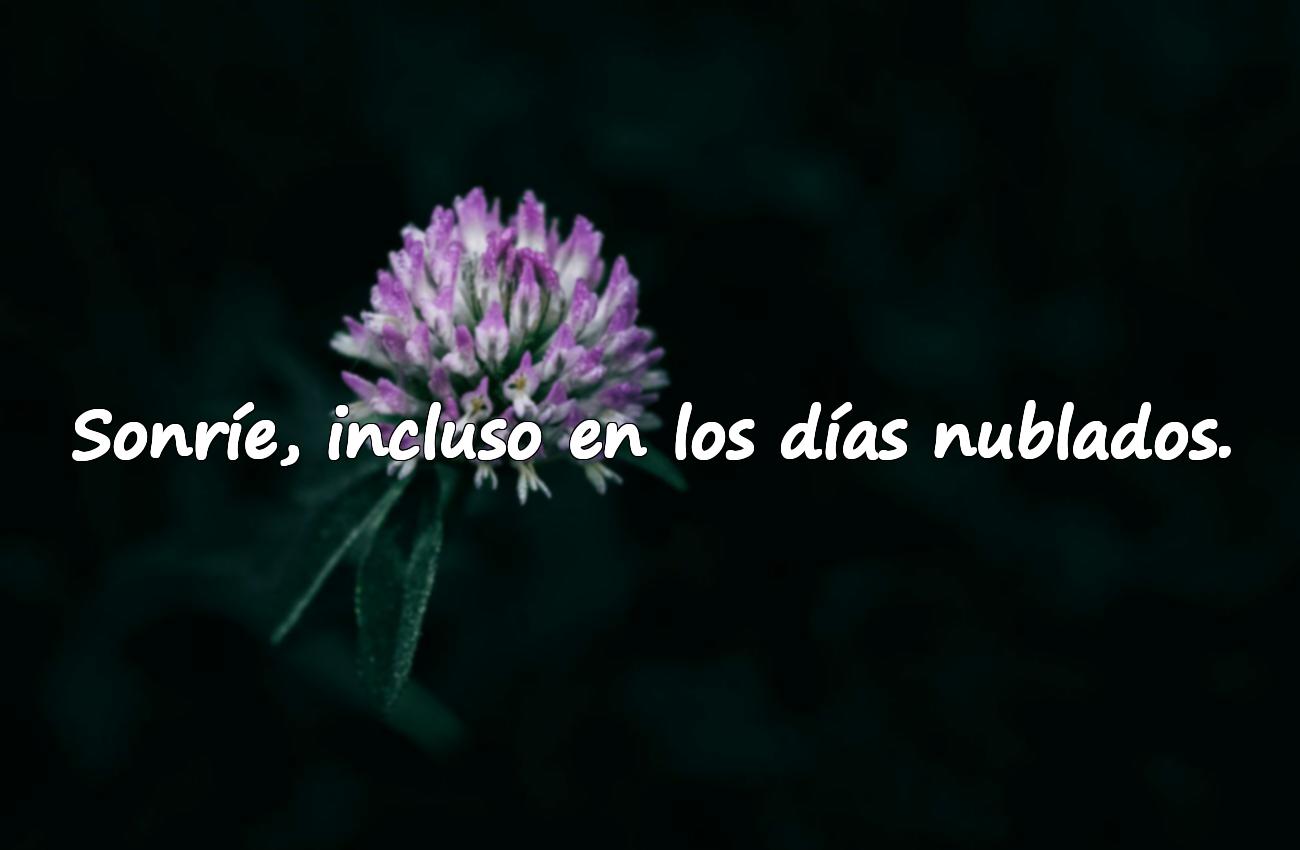 frases positivas de la vida