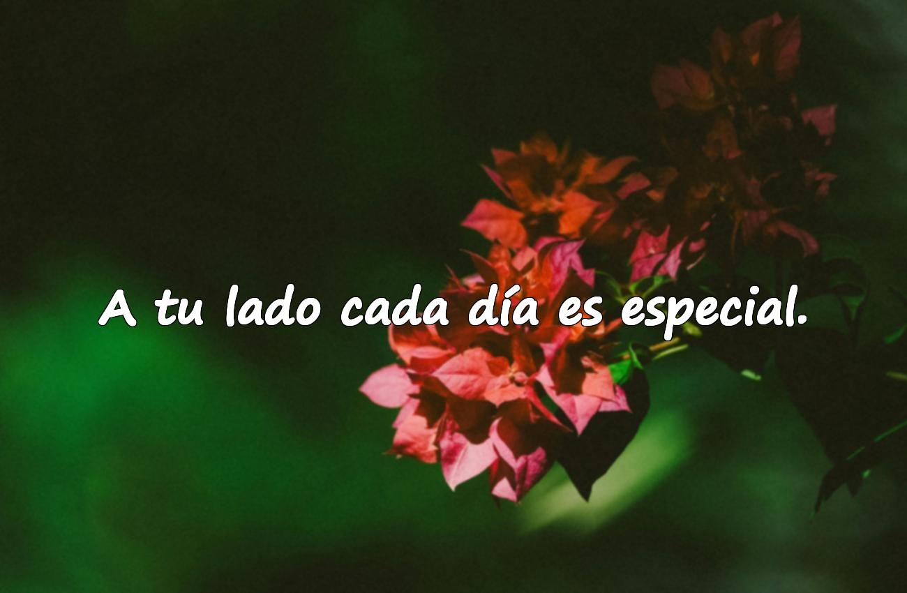 frases romanticas
