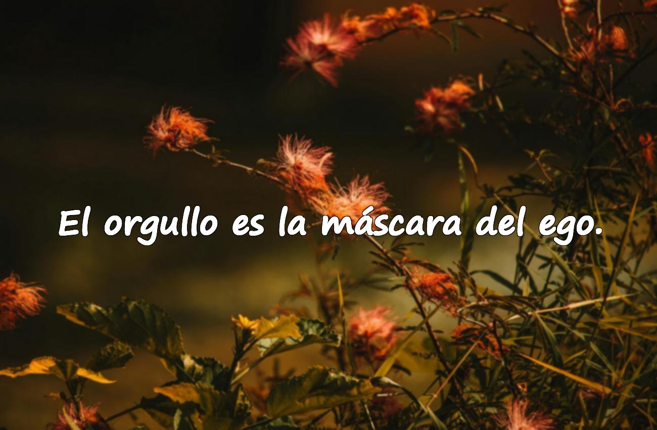 Frases Sobre el Ego