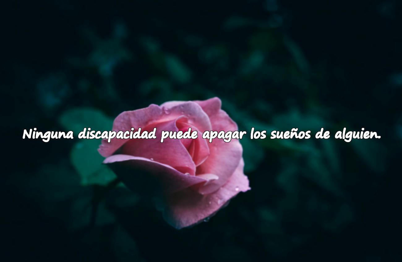 Frases sobre la discapacidad