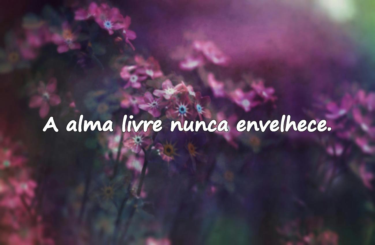 frases sobre liberdade