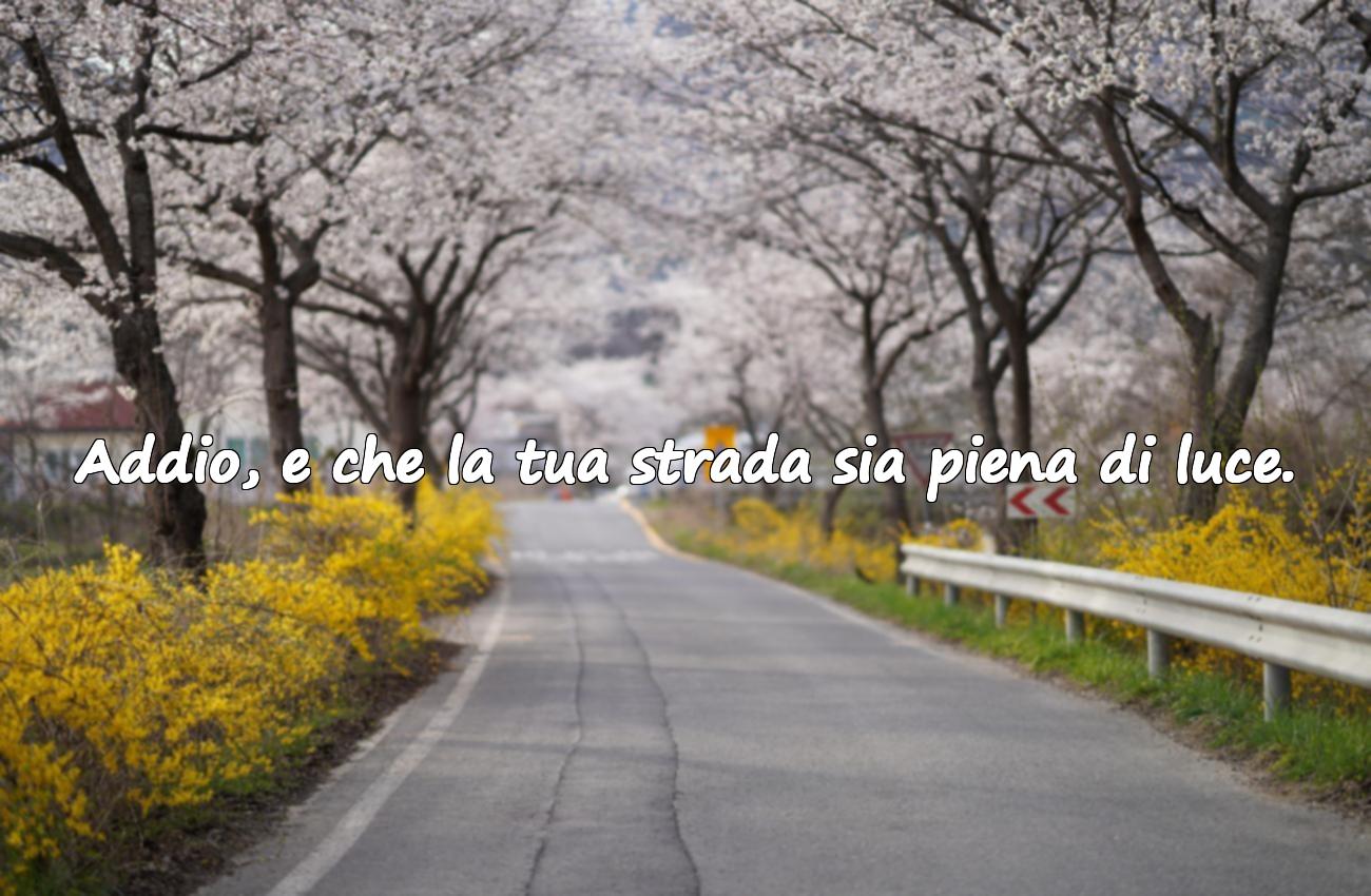 frasi addio
