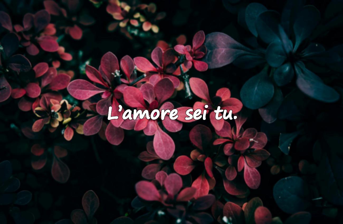 frasi amore brevi