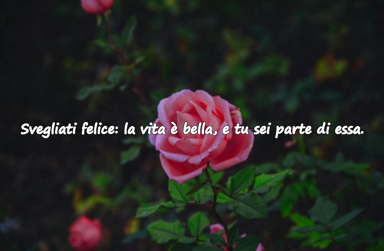 frasi belle di buongiorno