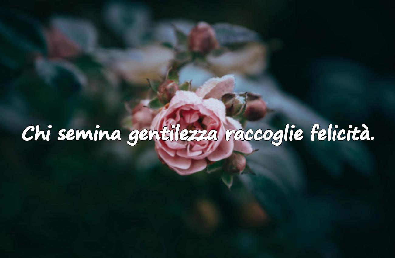 frasi belle significative