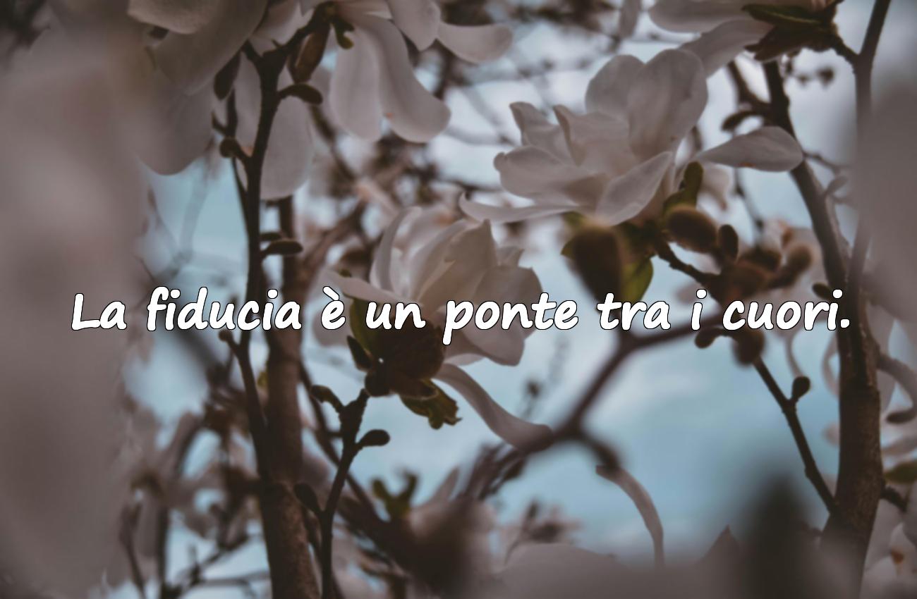 Frasi Belle sulla Fiducia