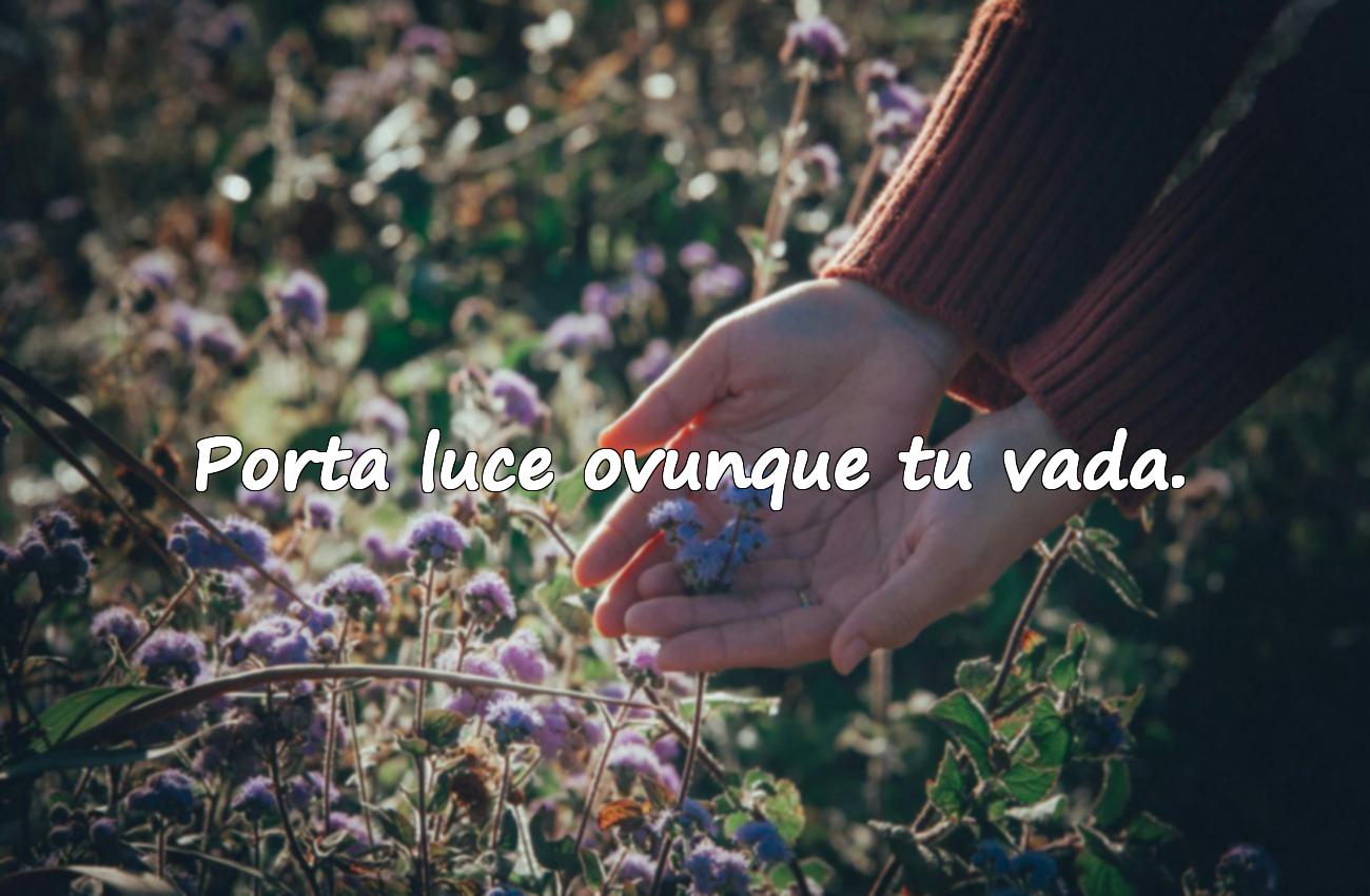 frasi con luce