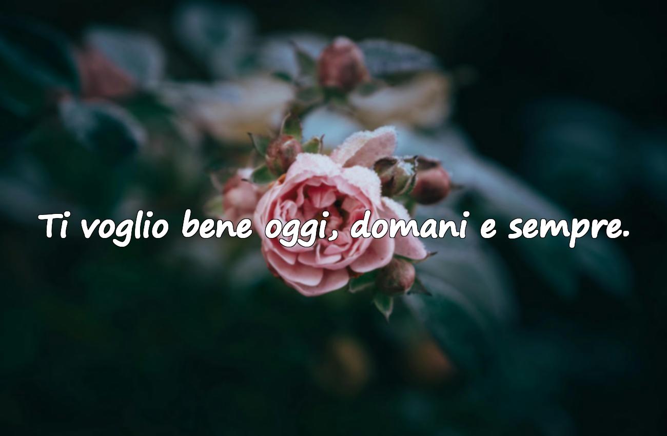 frasi con ti voglio bene