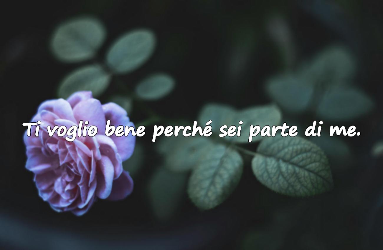 frasi con ti voglio bene