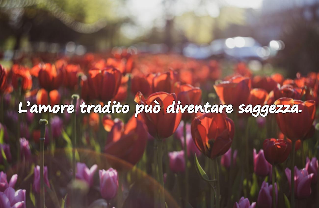 frasi d’amore deluso
