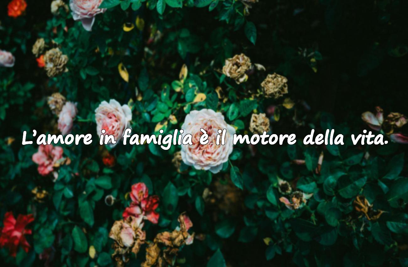 frasi della famiglia