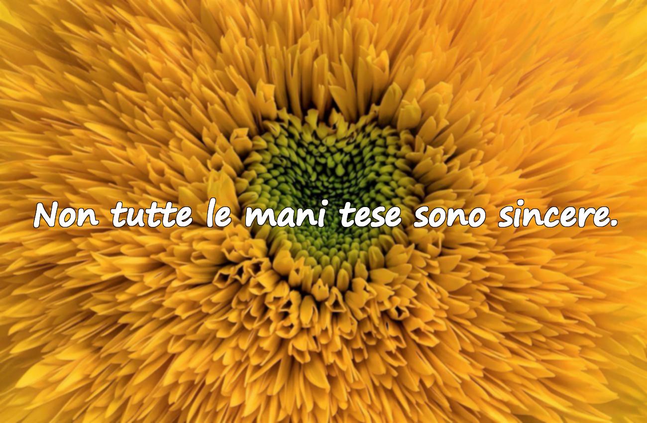 frasi di amicizia falsa