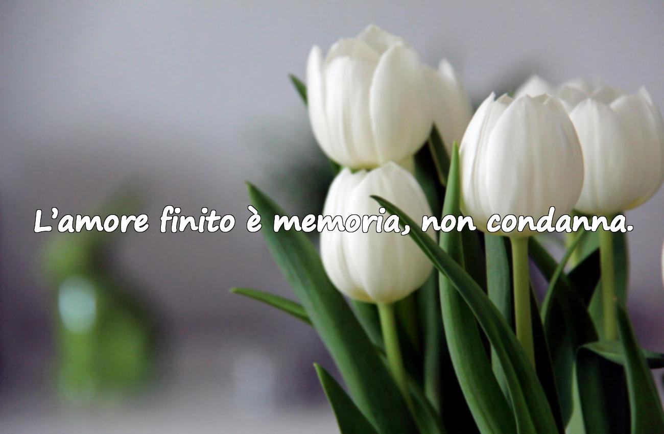 frasi di amore finito