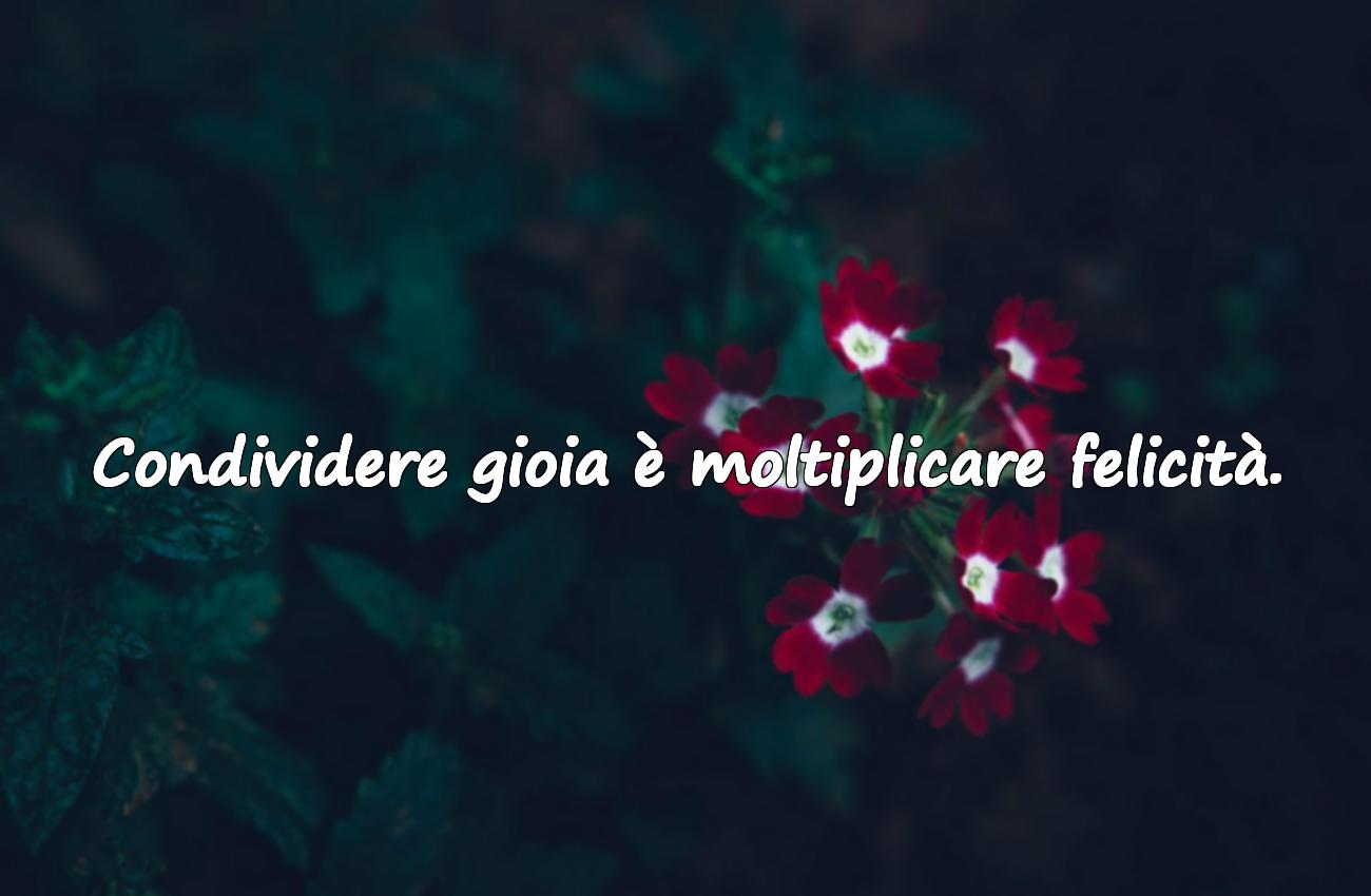 frasi di felicità