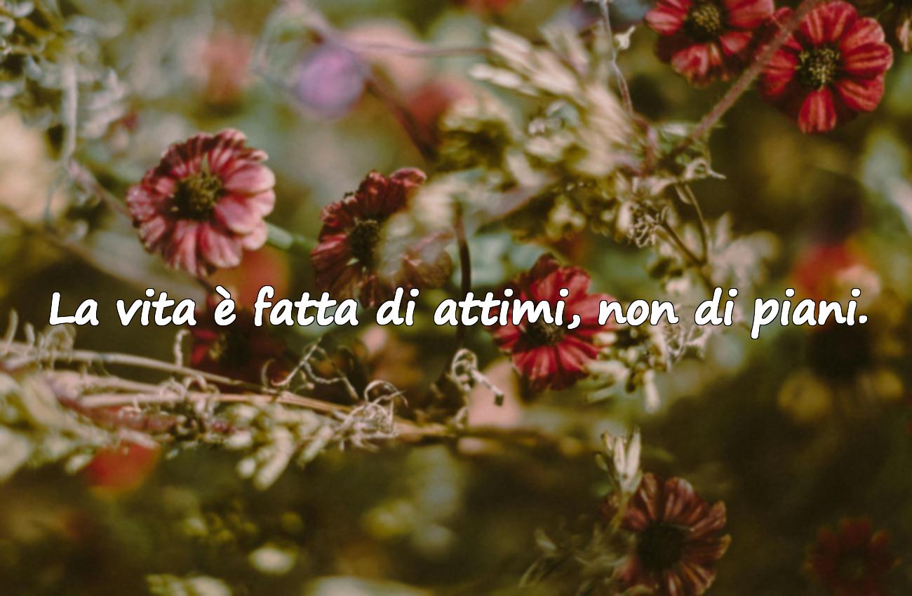 frasi di vita