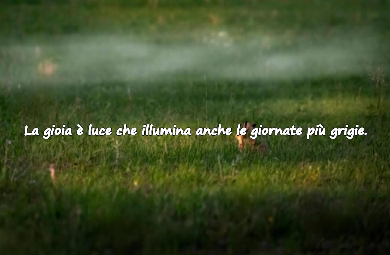frasi gioia