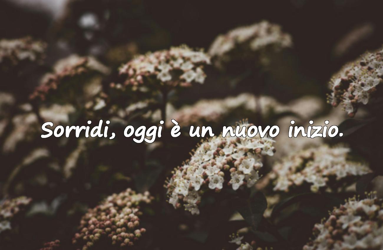 frasi italiane
