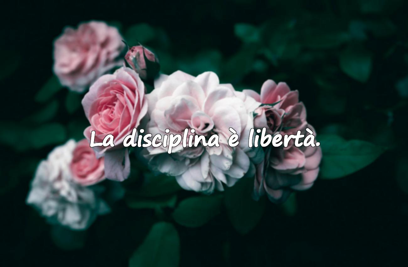 frasi motivazionali brevi