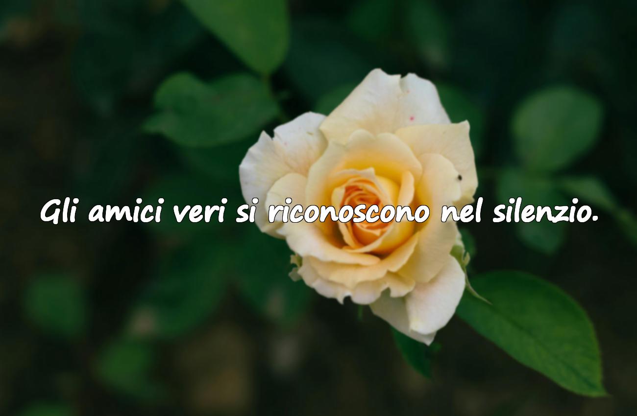 frasi per amic