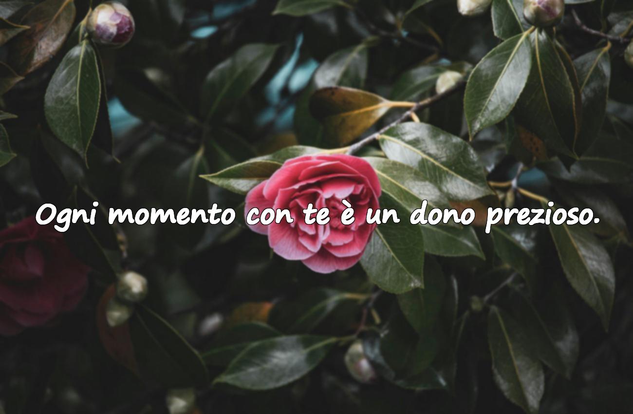 frasi per persone speciali