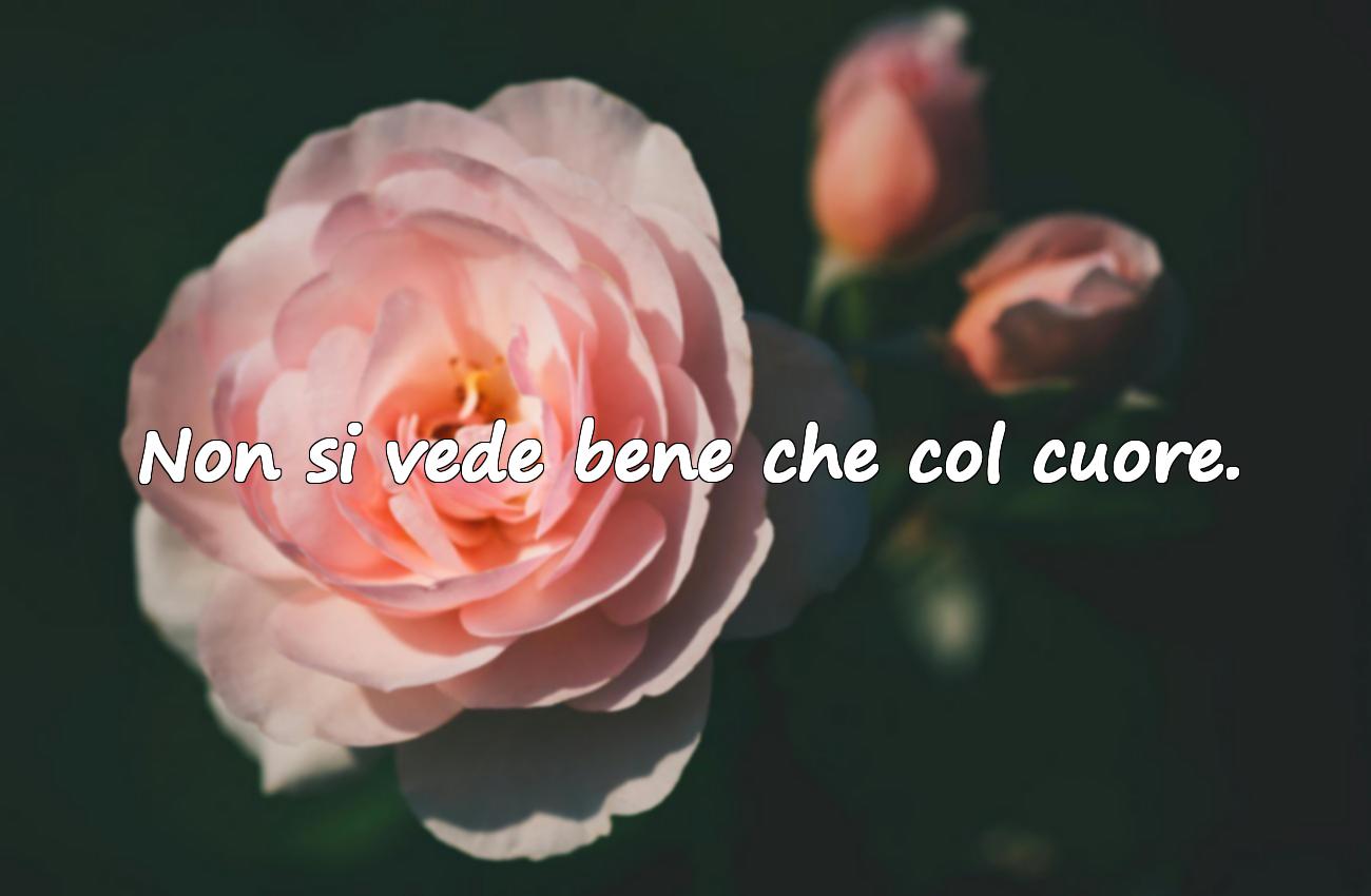 frasi piccolo principe