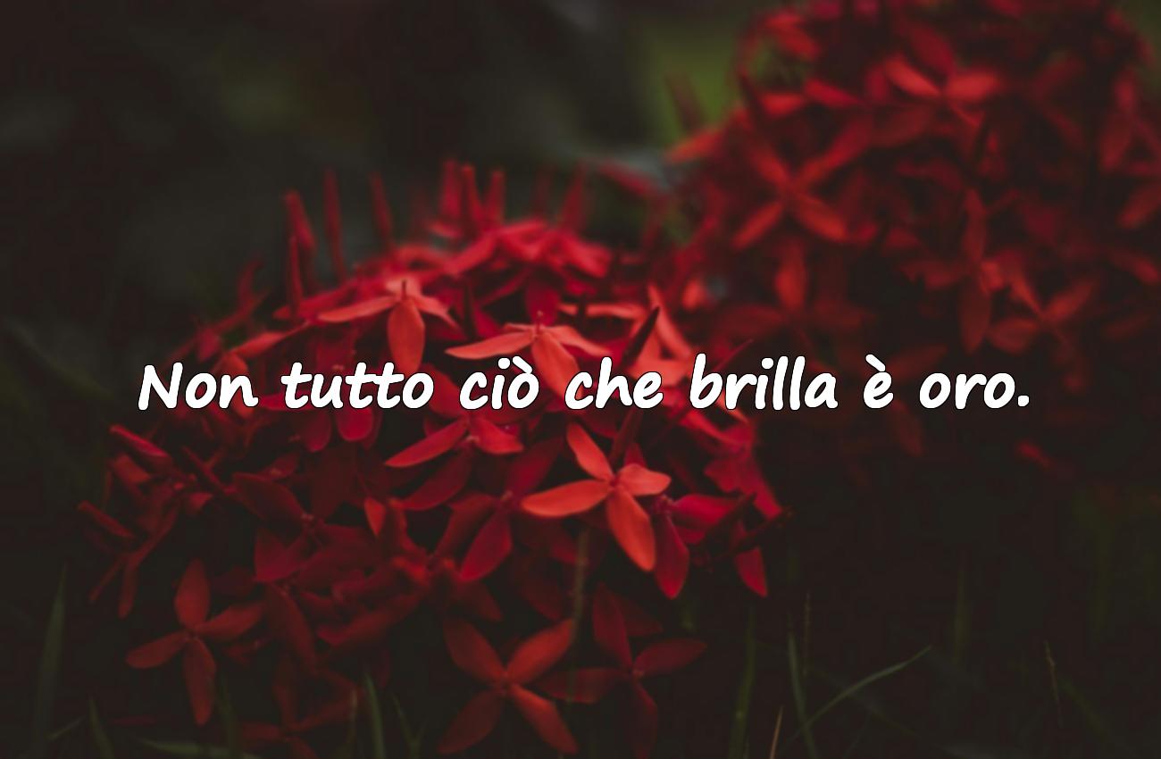frasi sagge