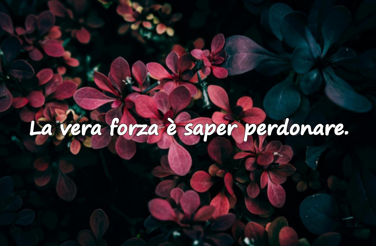 frasi sagge