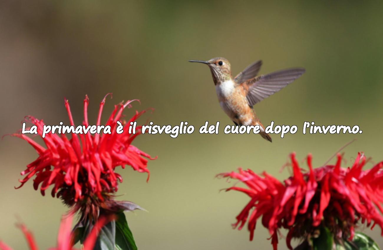 Frasi significative sulla primavera