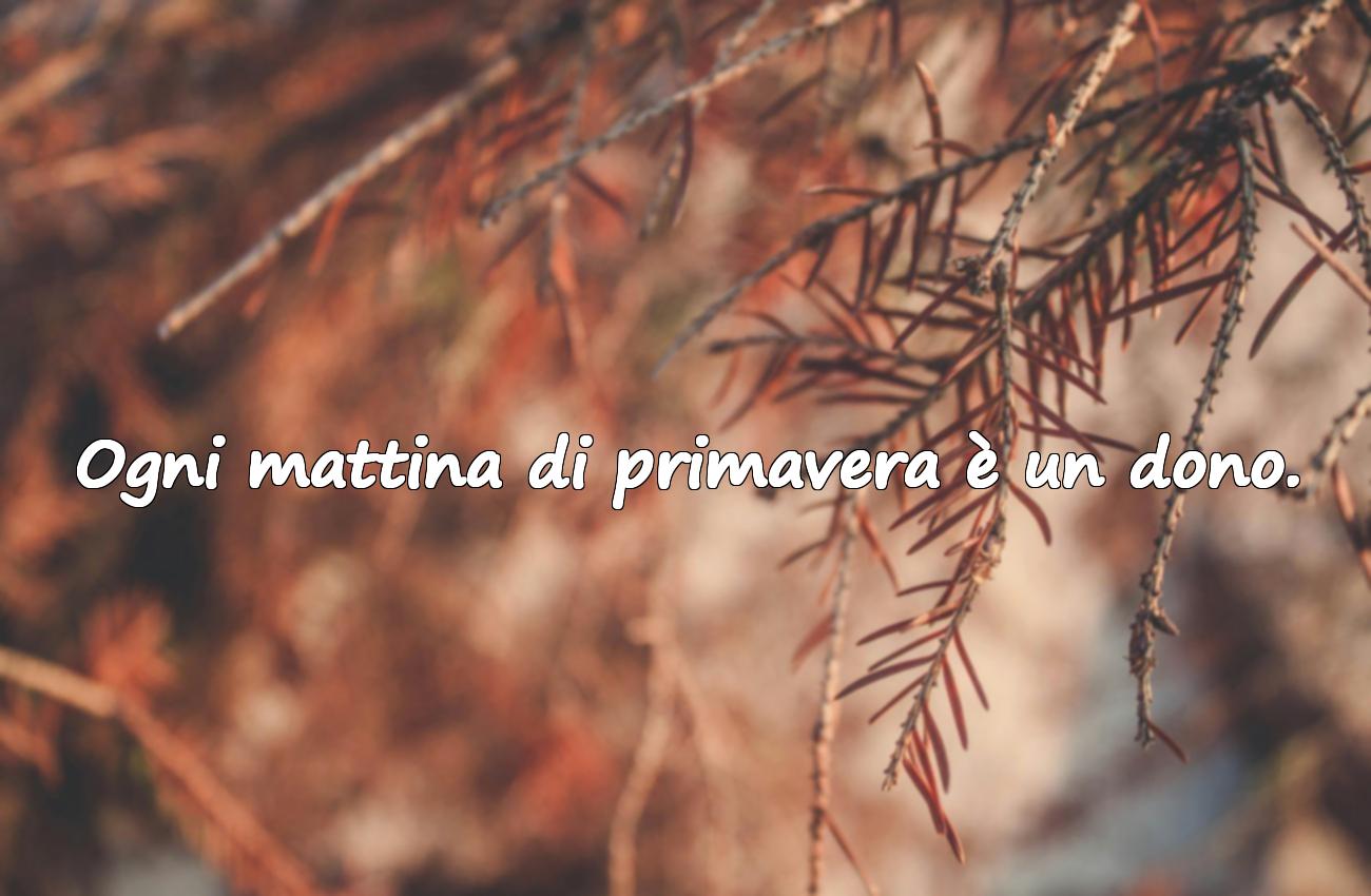 Frasi significative sulla primavera