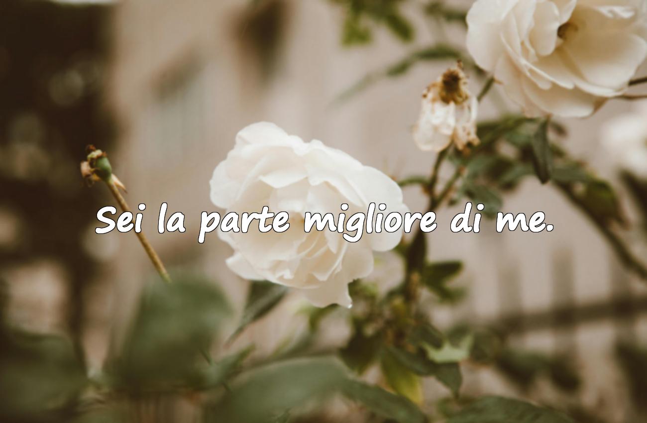 frasi su san valentino
