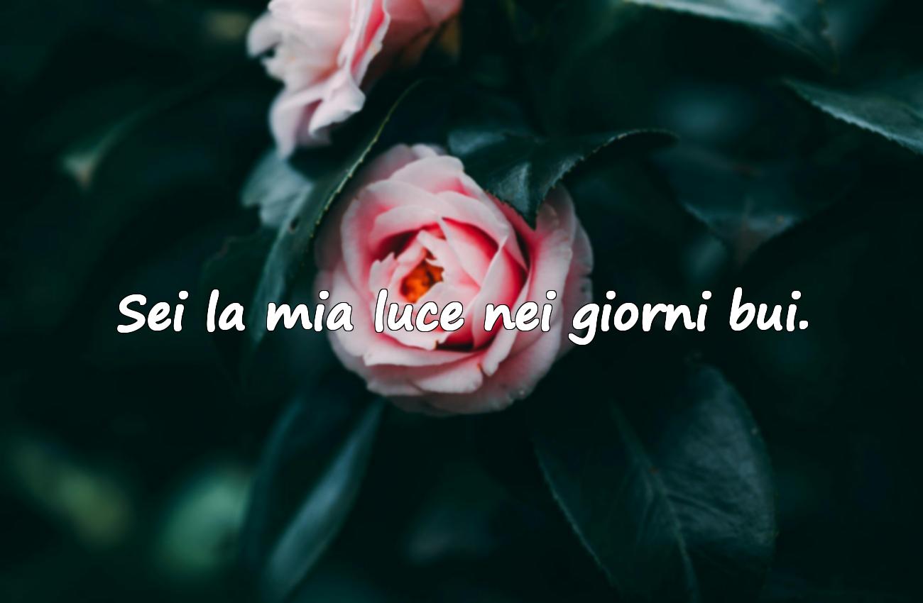 frasi su san valentino