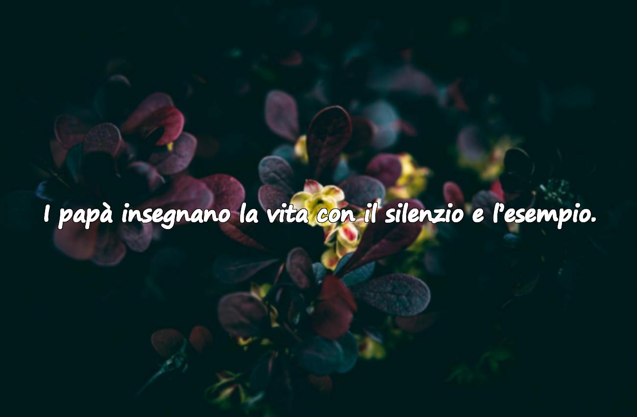 frasi sui papà