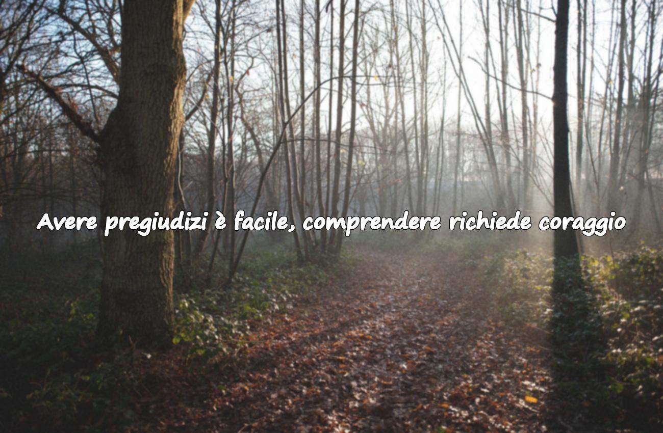 Frasi Sui Pregiudizi