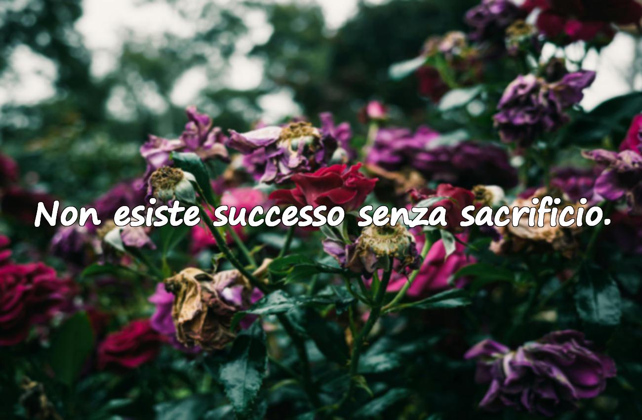 frasi sui successi