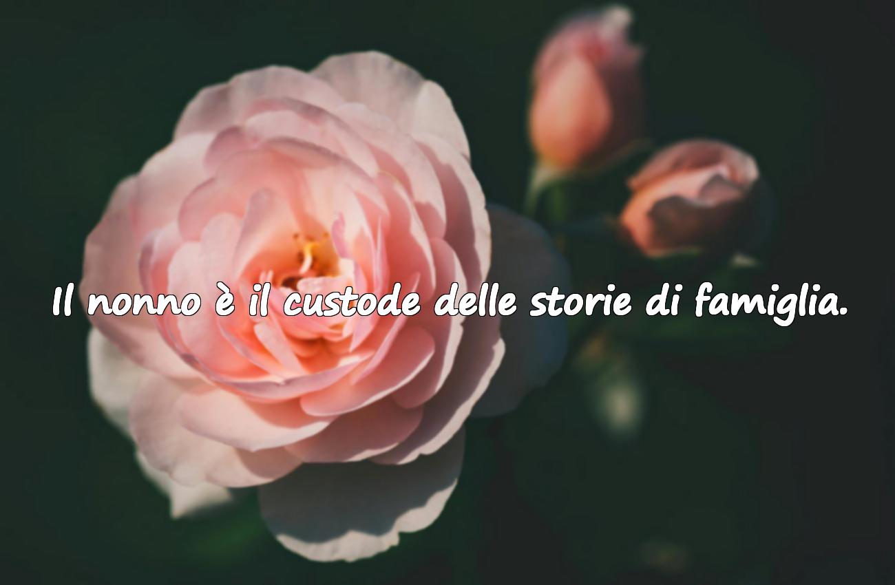 frasi sul nonno