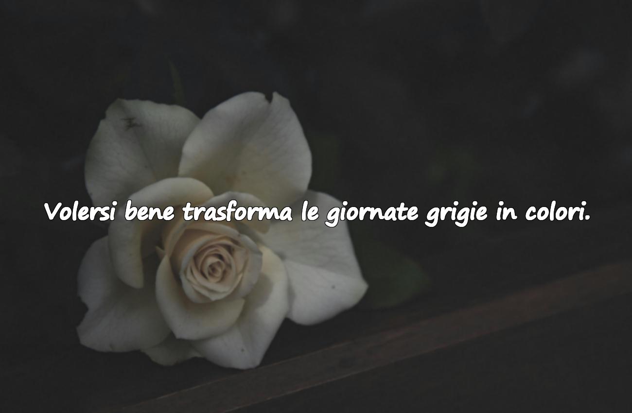 frasi sul volersi bene