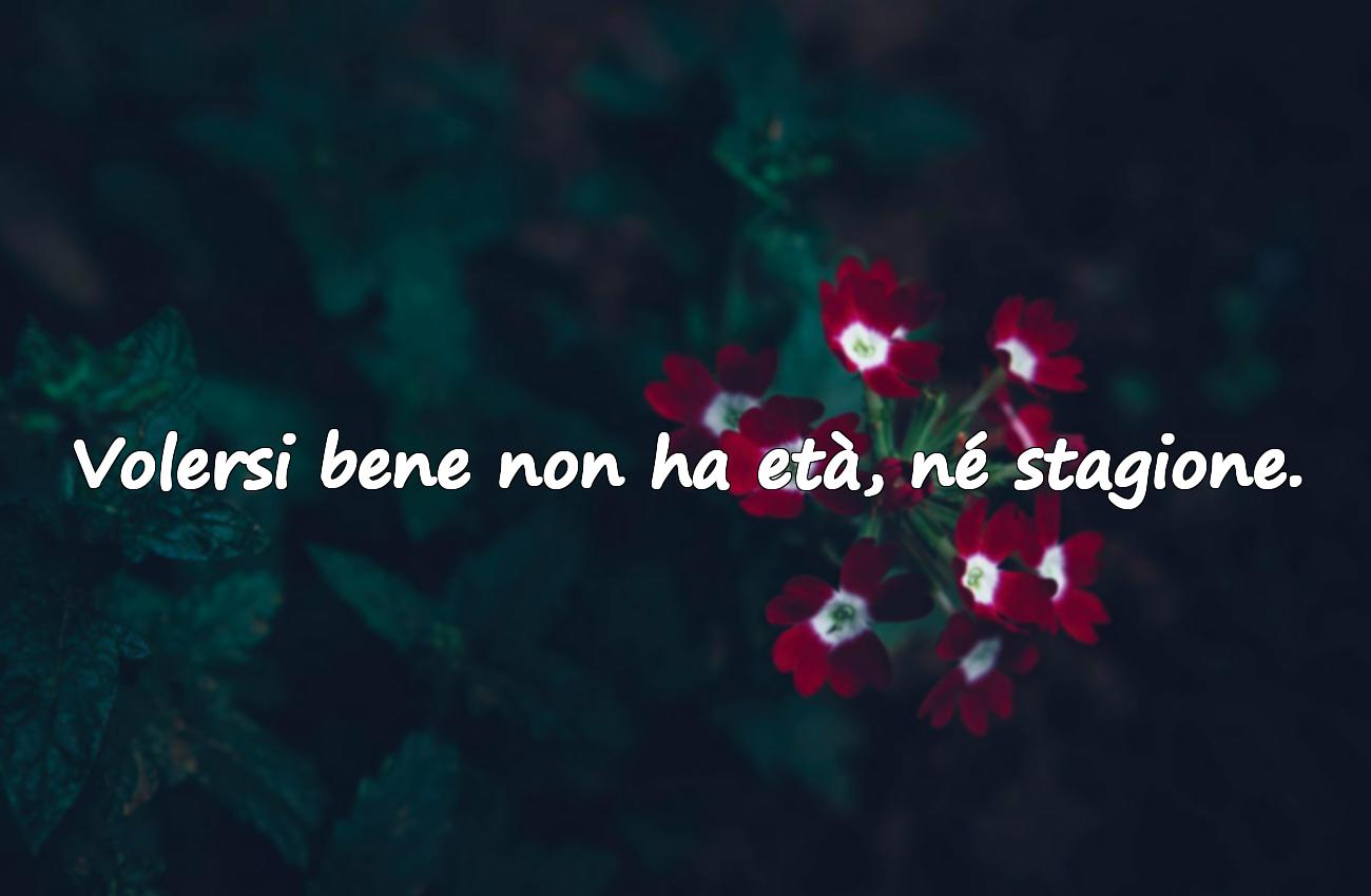 frasi sul volersi bene