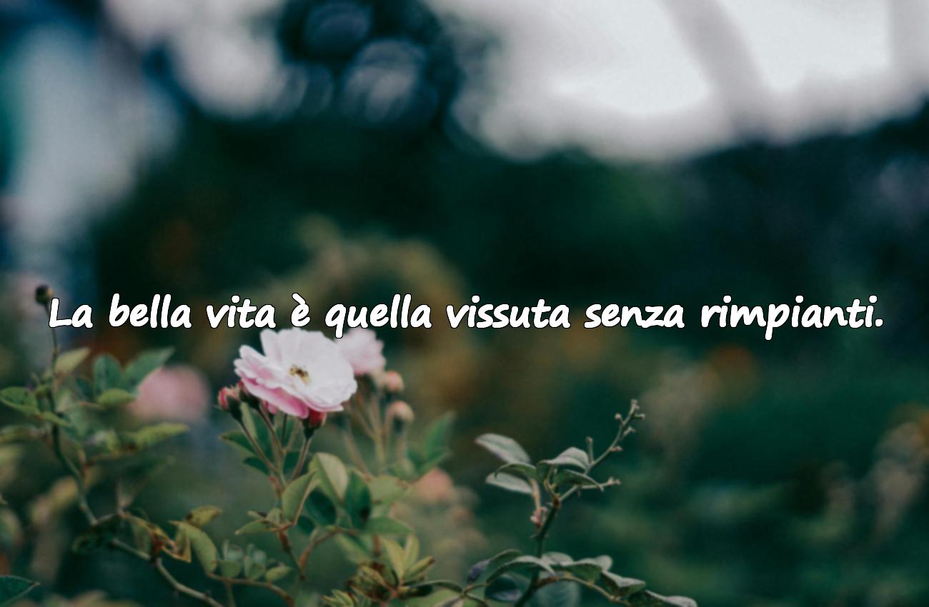 frasi sulla bella vita