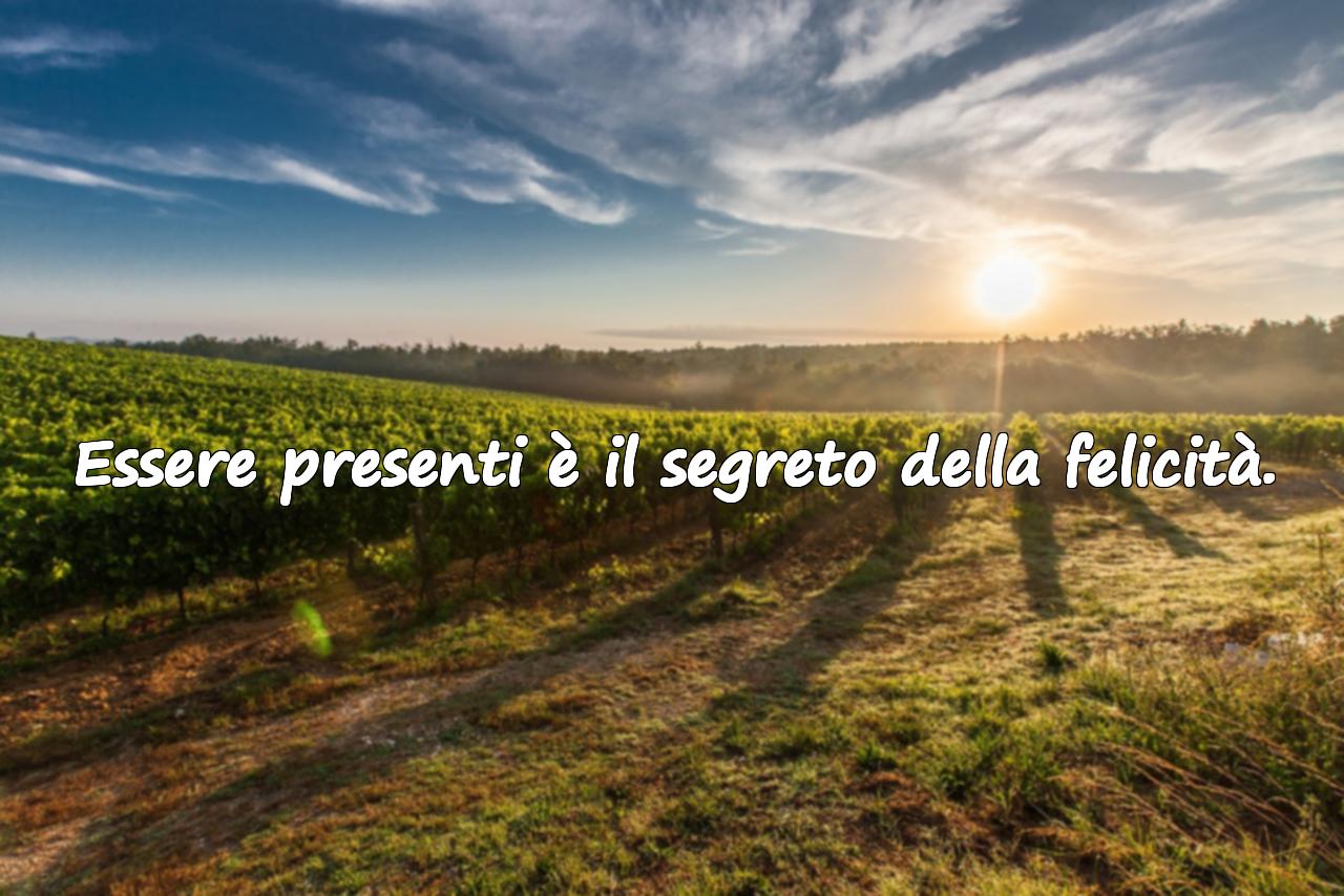 frasi sulla felicità