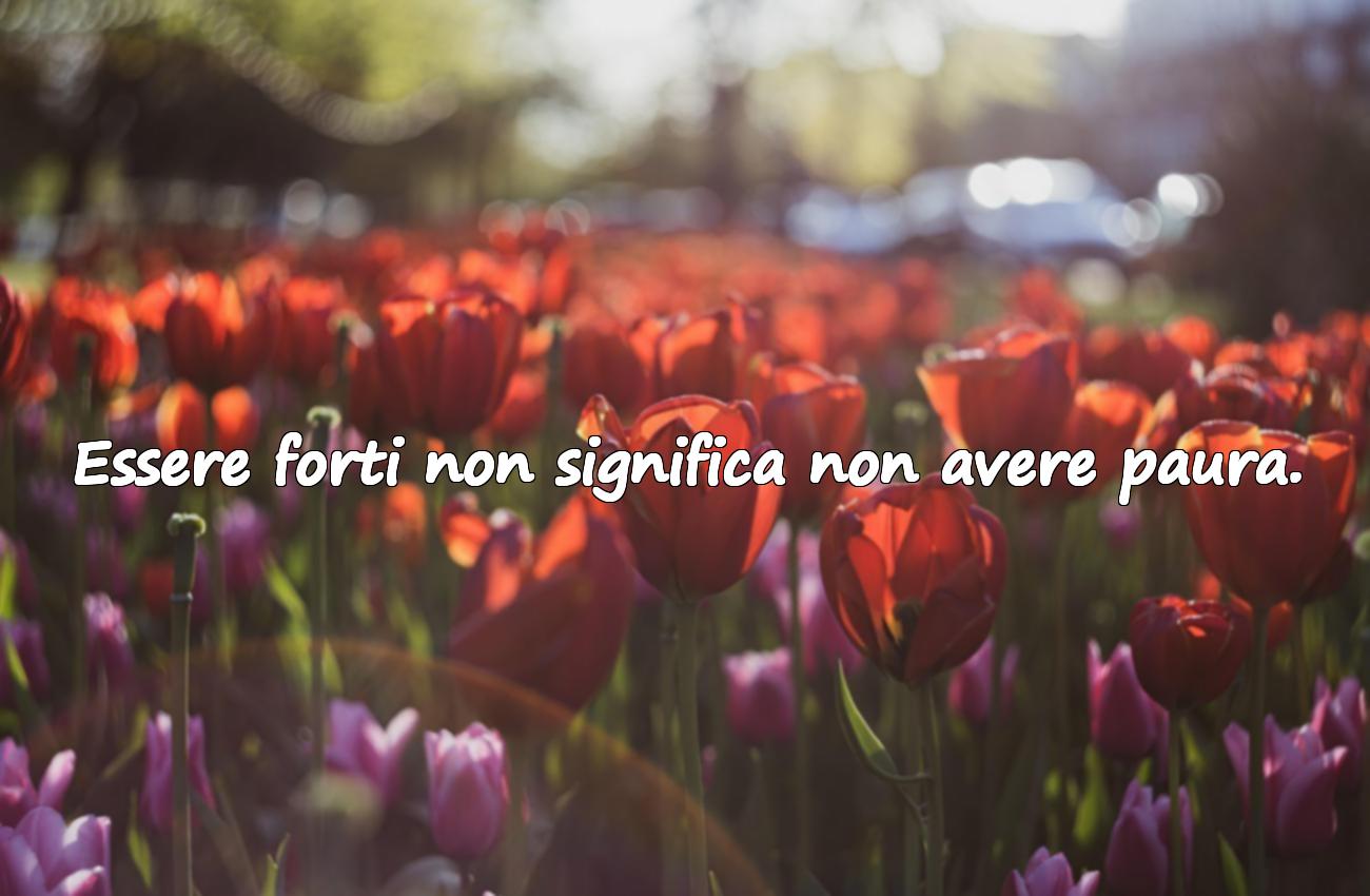frasi sulla forza