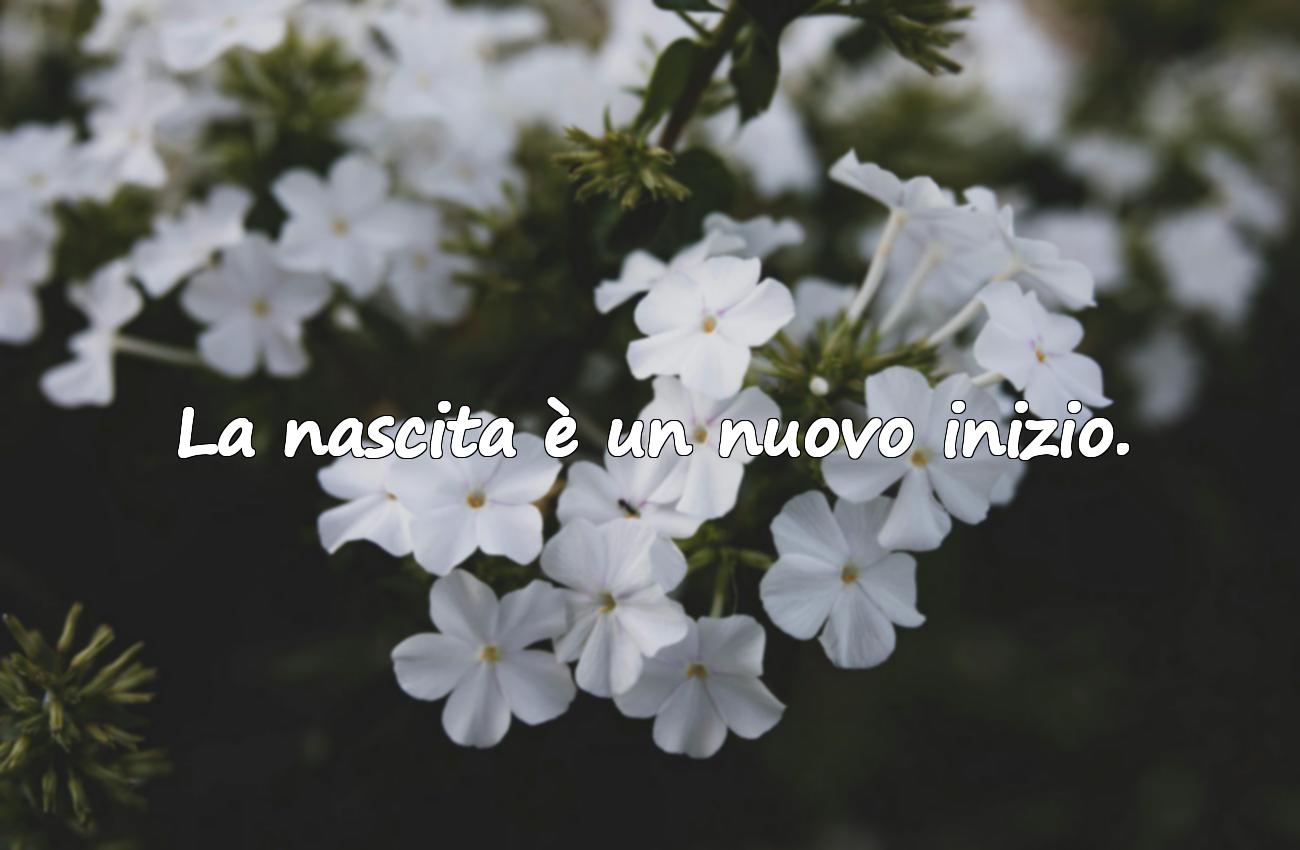 frasi sulla nascita di un bimbo