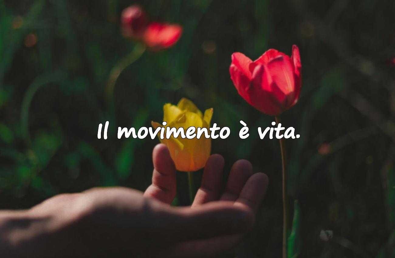 frasi sulla salute
