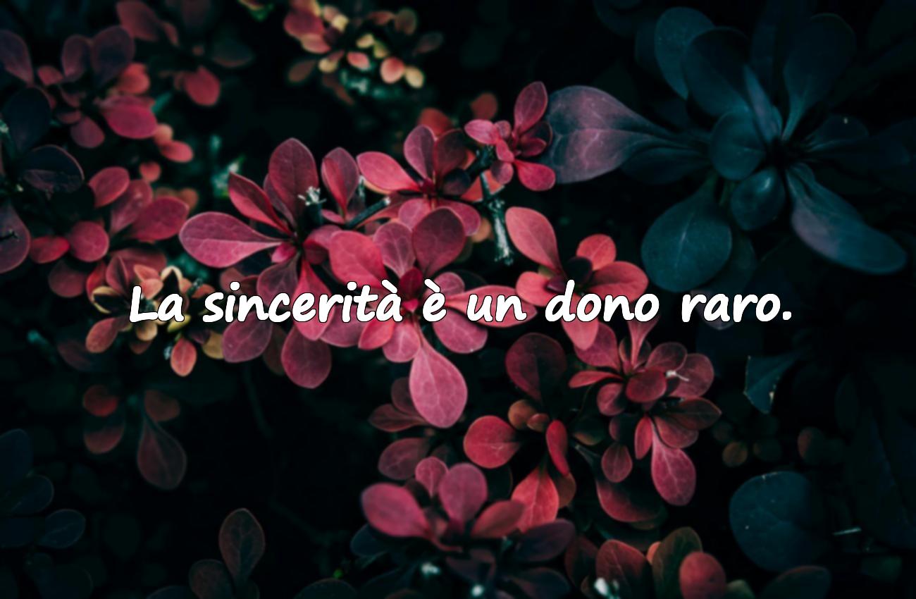 frasi sulla sincerità