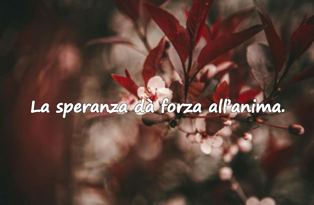 frasi sulla speranza