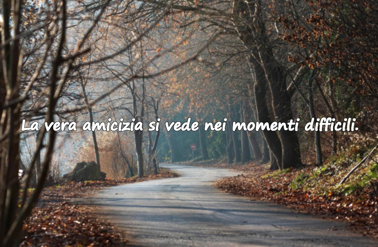 frasi sulla vera amicizia