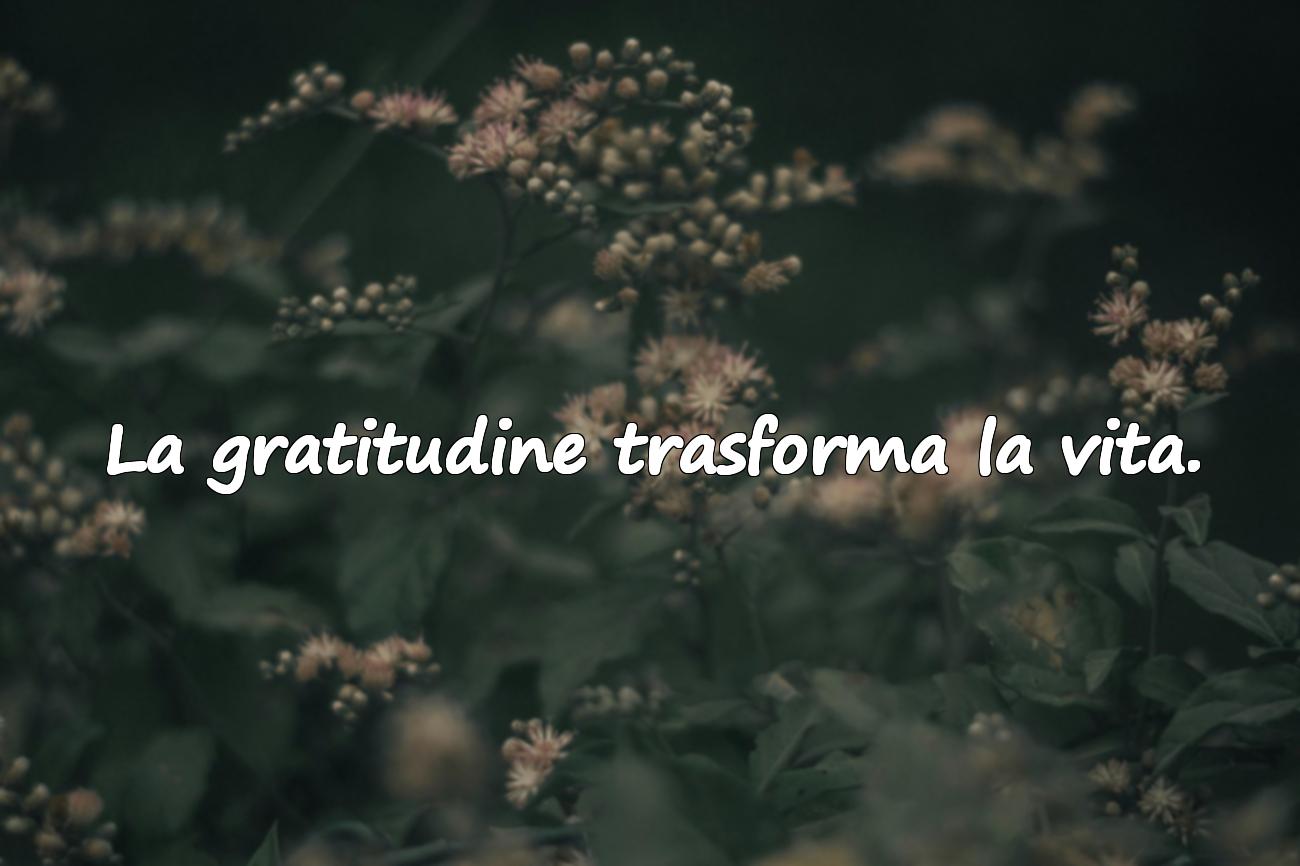 frasi sulla vita