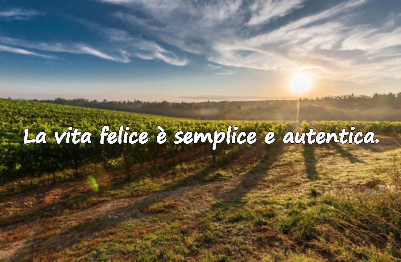 frasi sulla vita felice