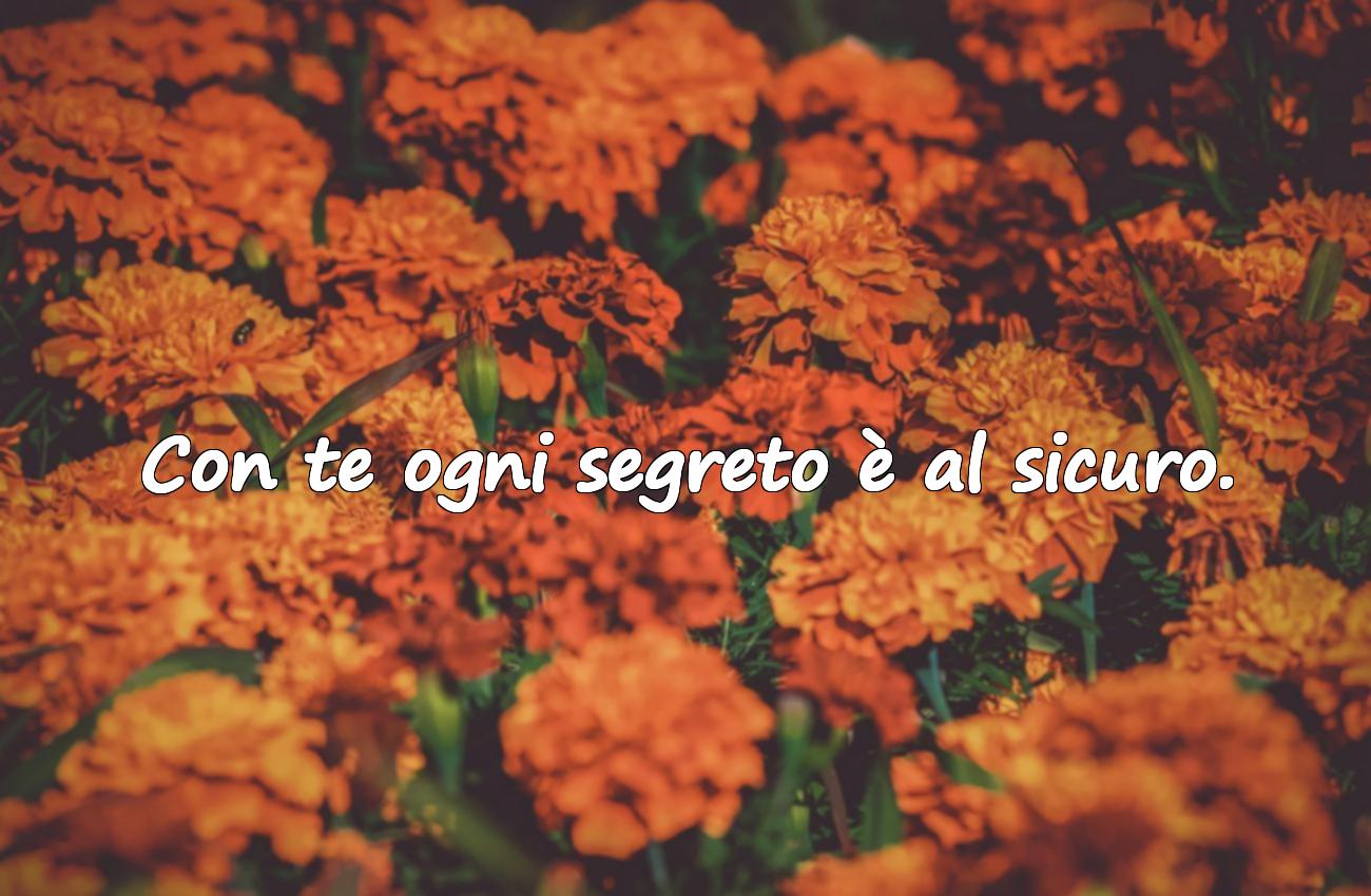 frasi sull’amicizia speciale tra sorelle