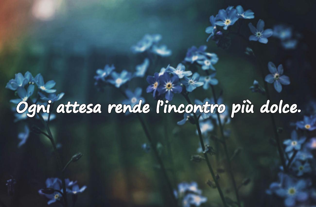 frasi sull’amore a distanza